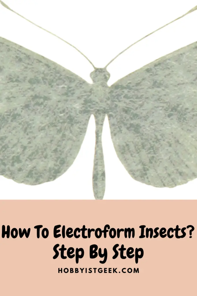 How To Electroform Insects Step By Step