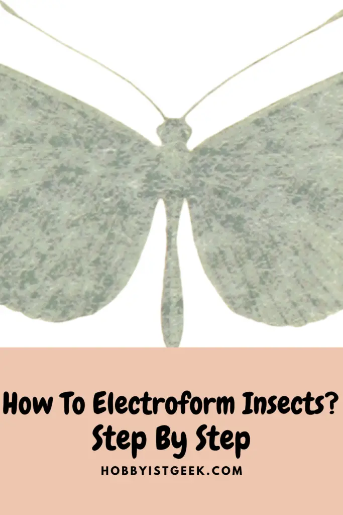 How To Electroform Insects? | Step By Step | 2023 How To Electroform Insects Step By Step