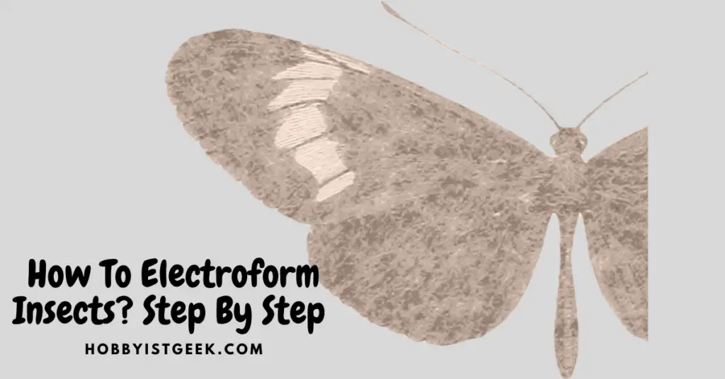 How To Electroform Insects? Step By Step