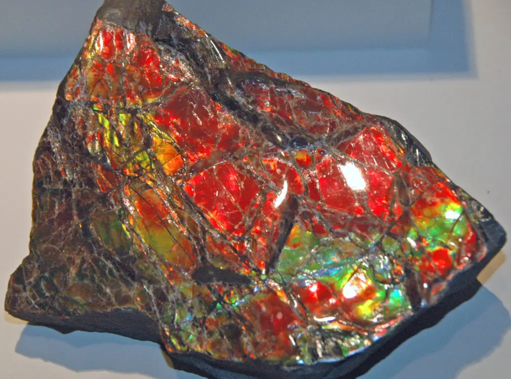 Why Crystals Are Important? Best Crystals Ammolite Crystal Benefits (Explained)