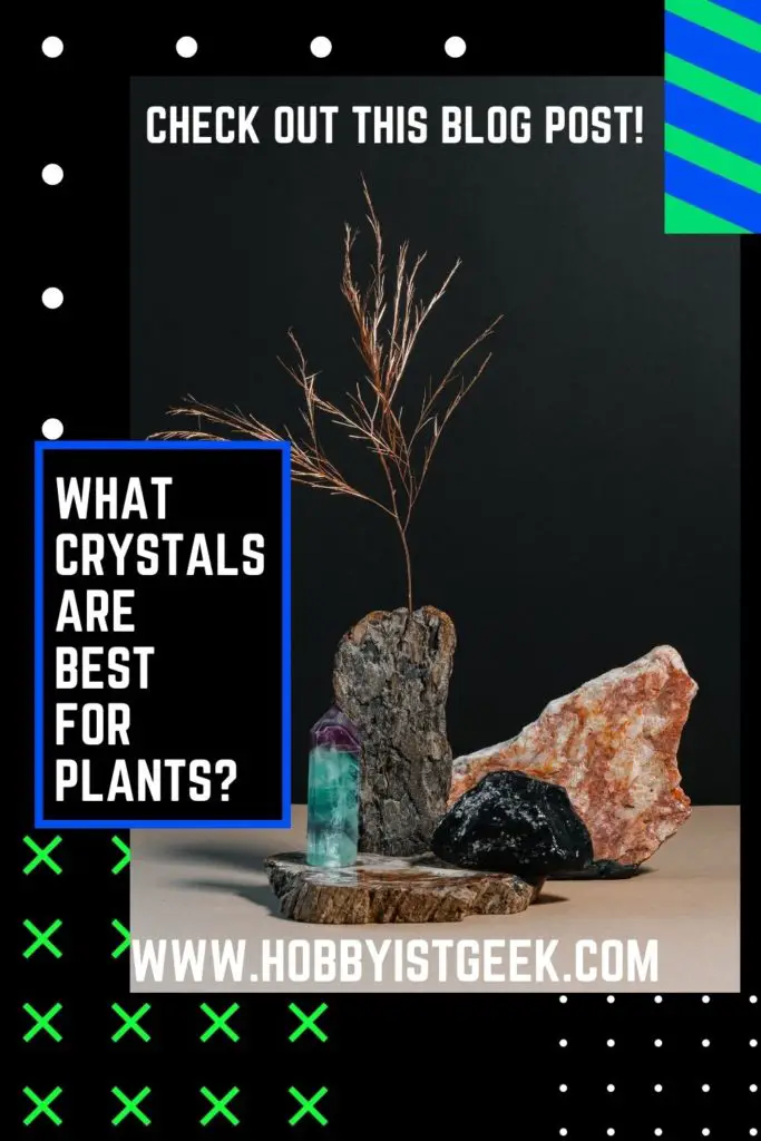 What Crystals Are Best For Plants?