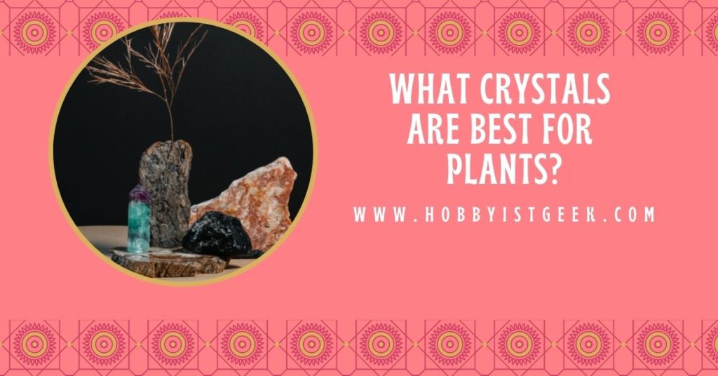 What Crystals Are Best For Plants