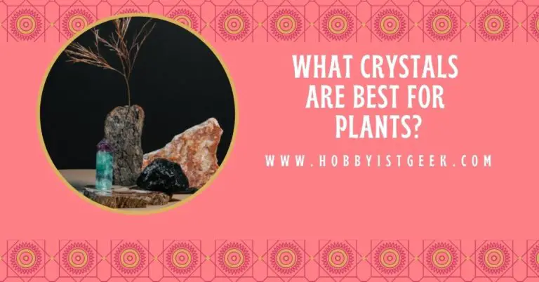 What Crystals Are Best For Plants?