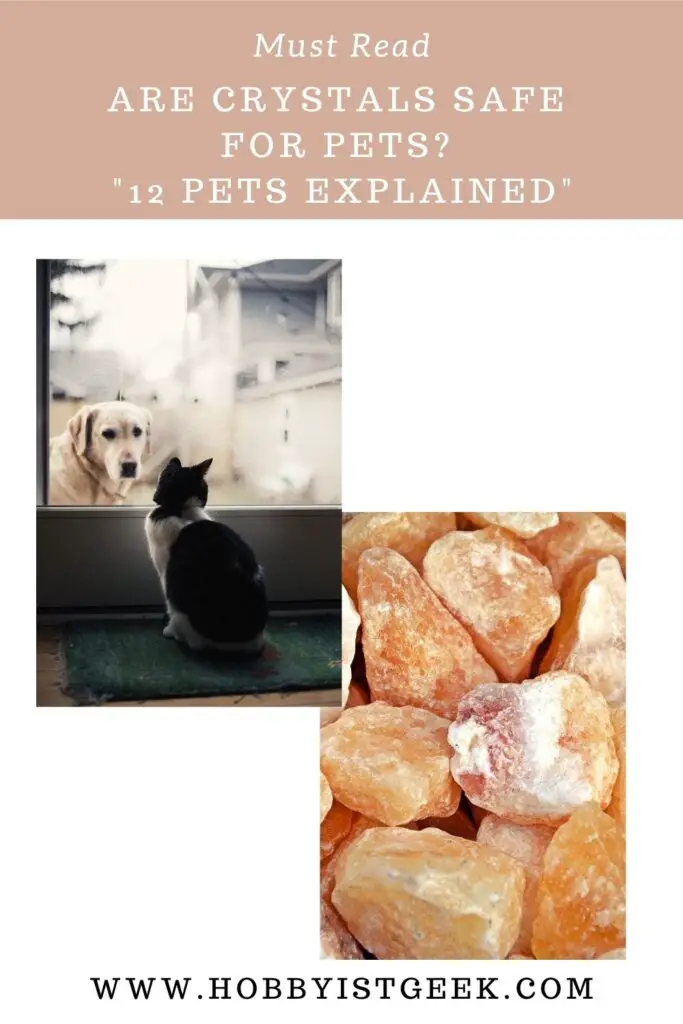 Are Crystals Safe For Pets? "12 Pets Explained"