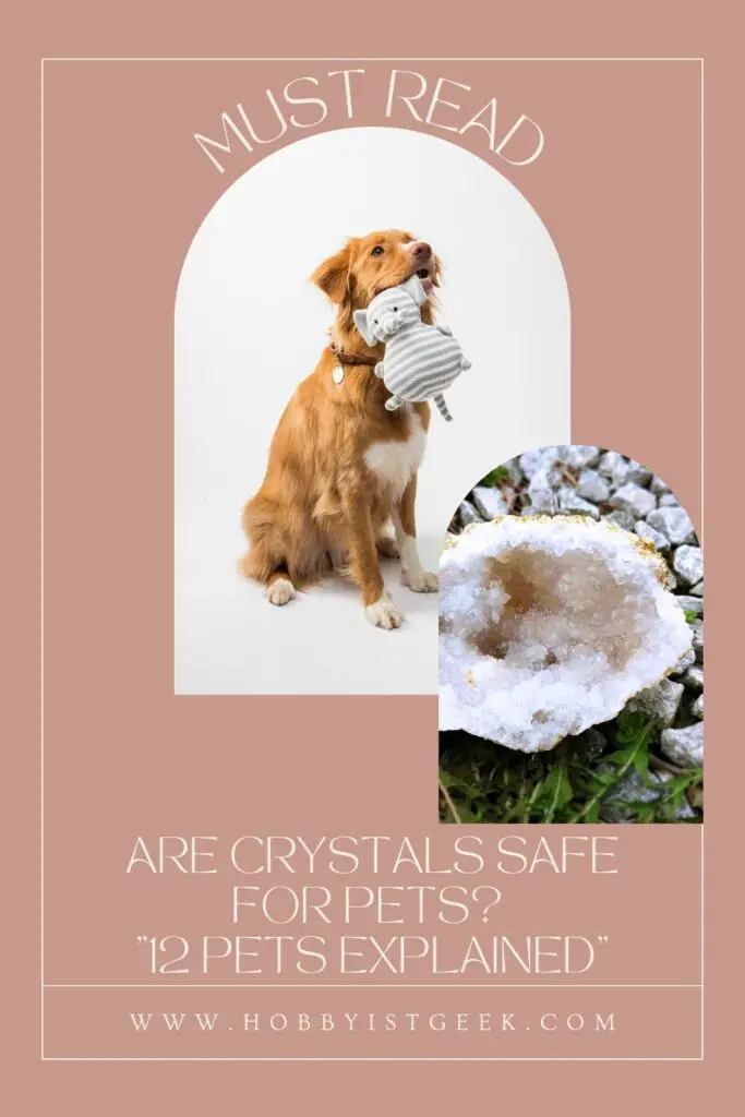 Are Crystals Safe For Pets? "12 Pets Explained"
