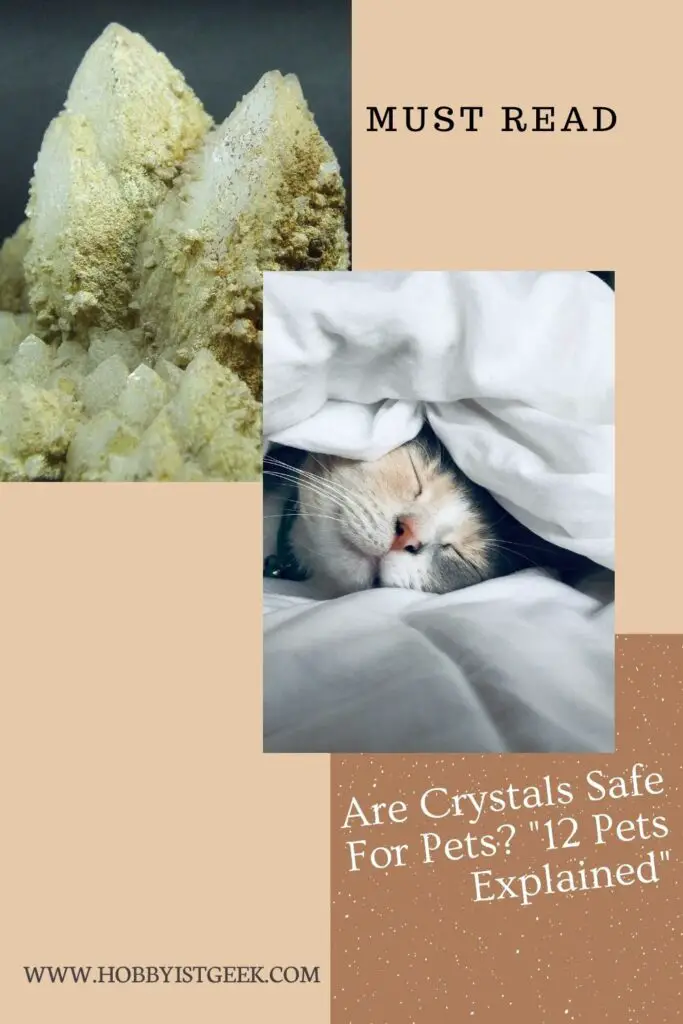 Are Crystals Safe For Pets? "12 Pets Explained"
