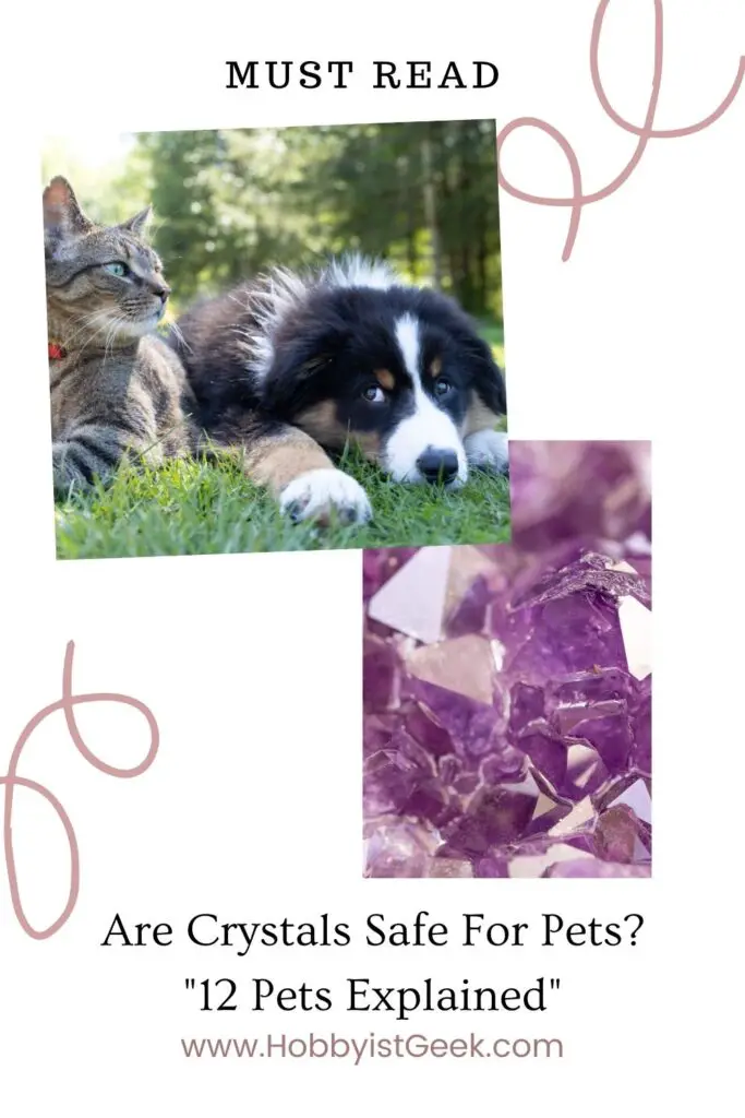 Are Crystals Safe For Pets? "12 Pets Explained"