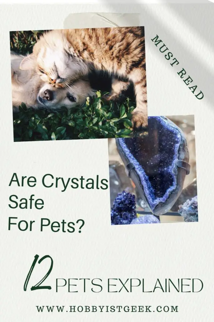 Are Crystals Safe For Pets? "12 Pets Explained"