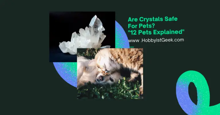 Are Crystals Safe For Pets? “12 Pets Explained”